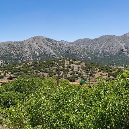 Villa Skyphos Ammoudari 外观 照片